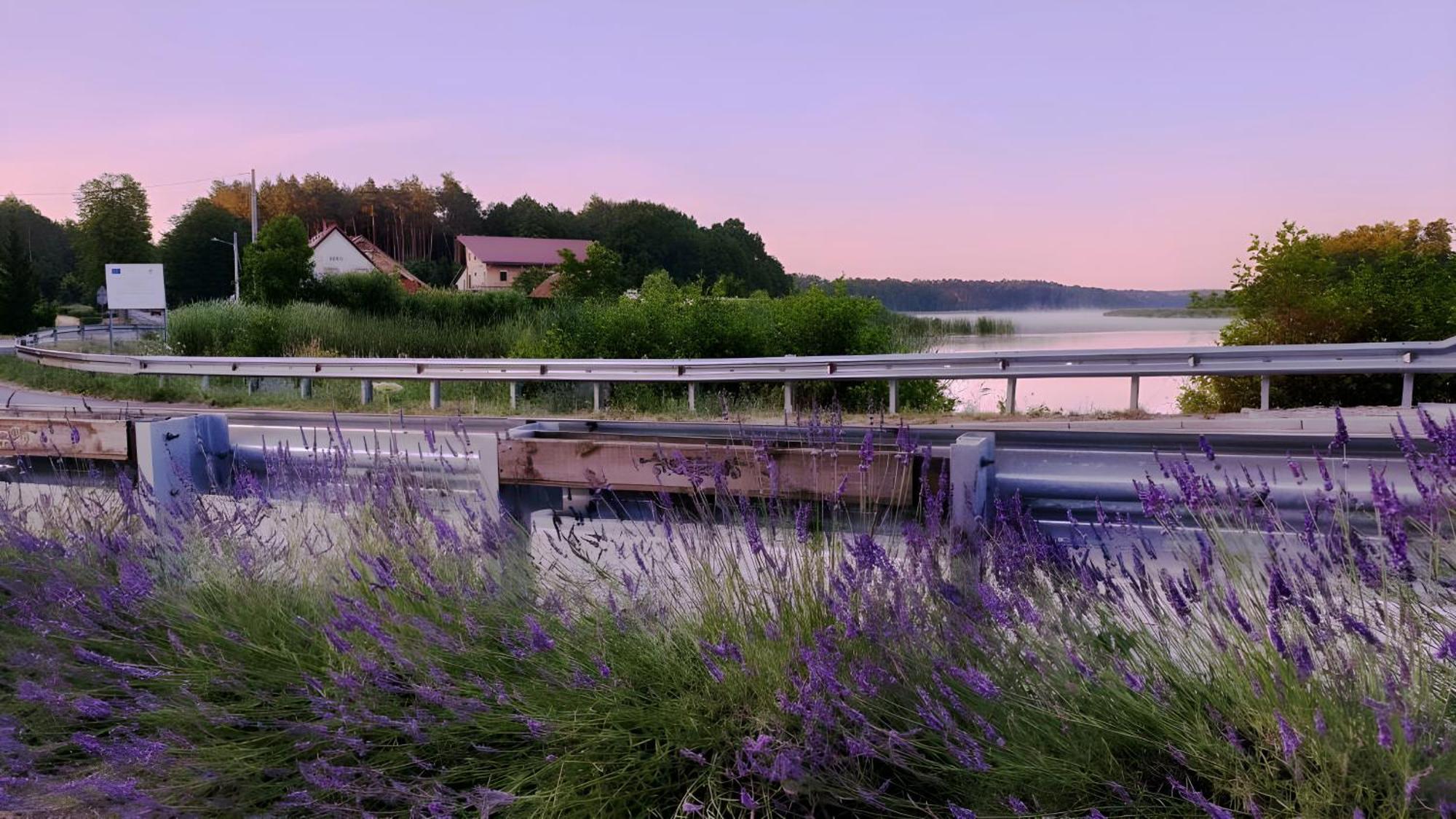 Wrzosowy Mlyn - Twoje Miejsce Nad Jeziorem Miedzyrzecz Exterior photo